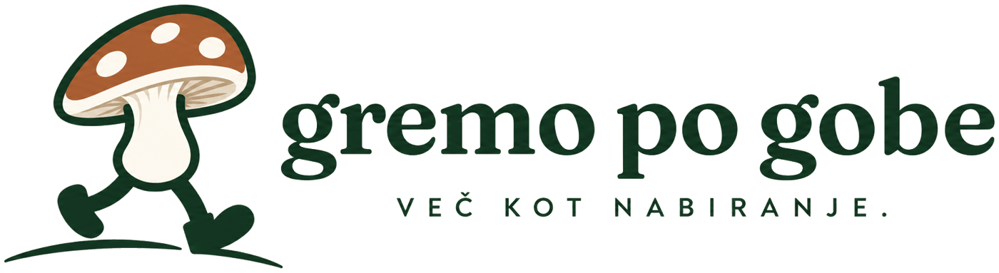 gremo po gobe - več kot nabiranje.